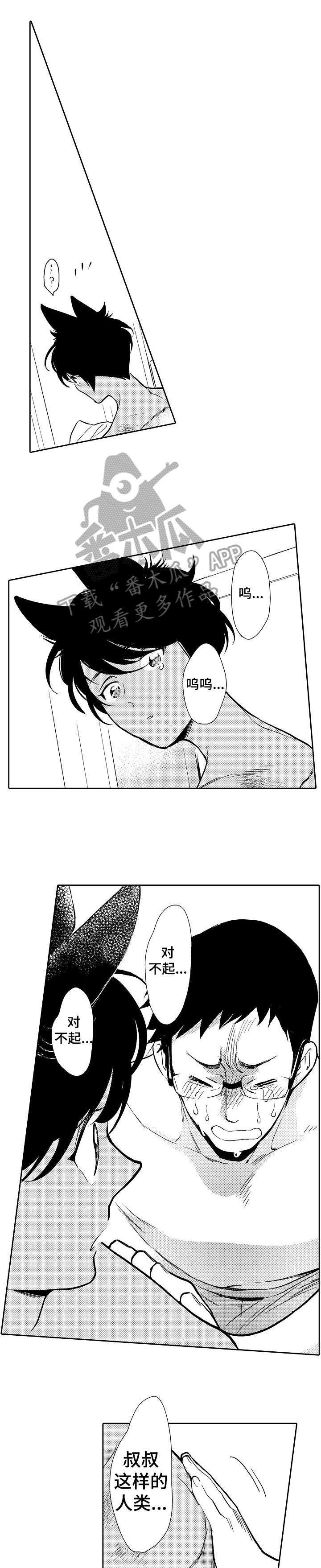 迷途旅行者动漫漫画,第3章：心疼3图