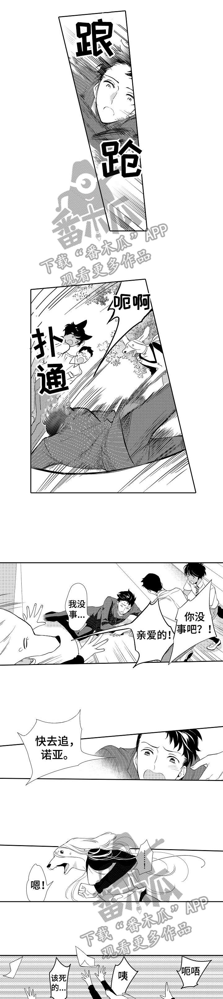 迷途之旅漫画漫画,第15章：追1图