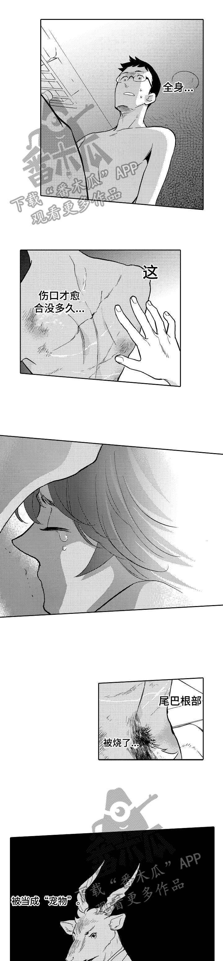 迷途旅行者动漫漫画,第3章：心疼1图