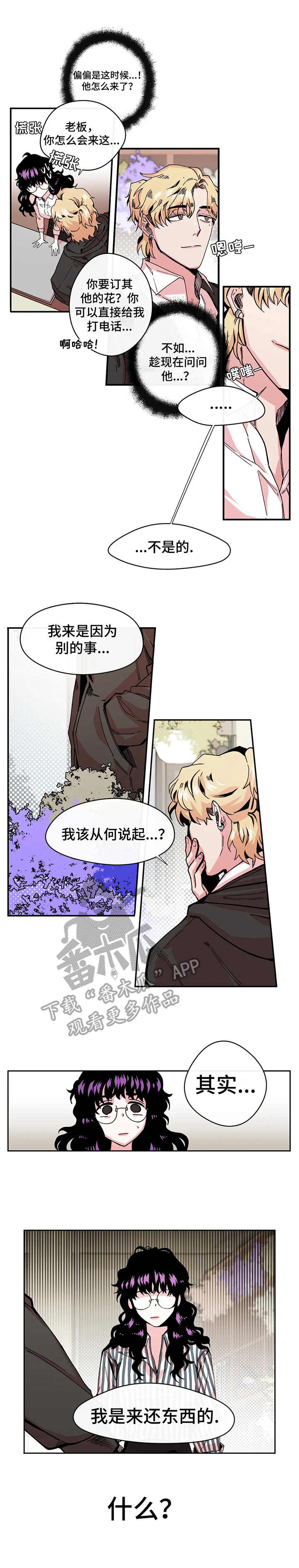 职业规则漫画漫画,第8章：双胞胎3图