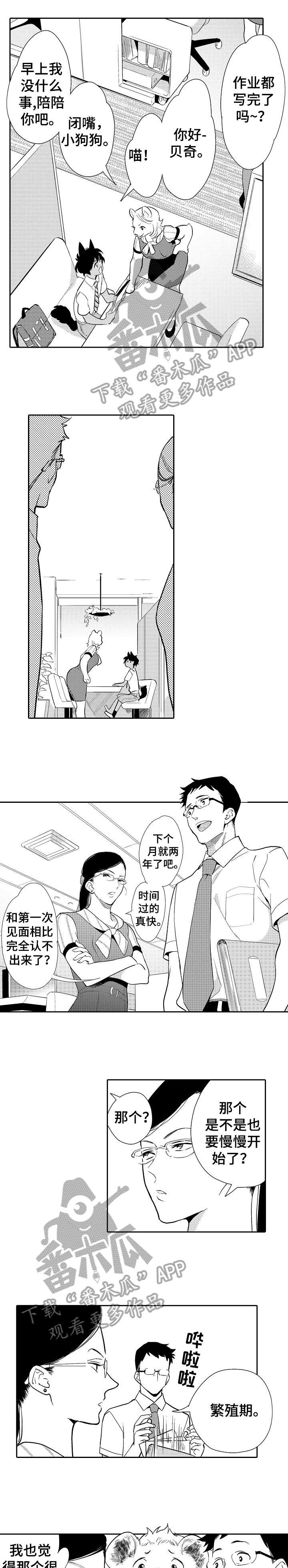 迷途之旅漫画漫画,第6章：难办1图