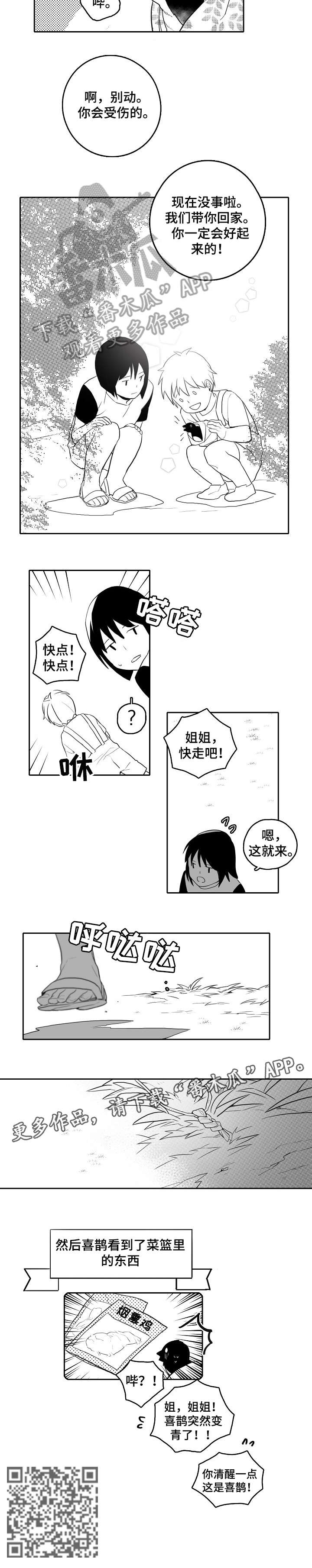 距离是零漫画,第19章：受伤1图