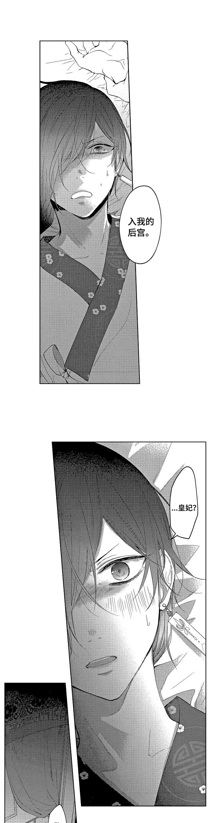 漫画血的诅咒漫画,第24章：礼物7图