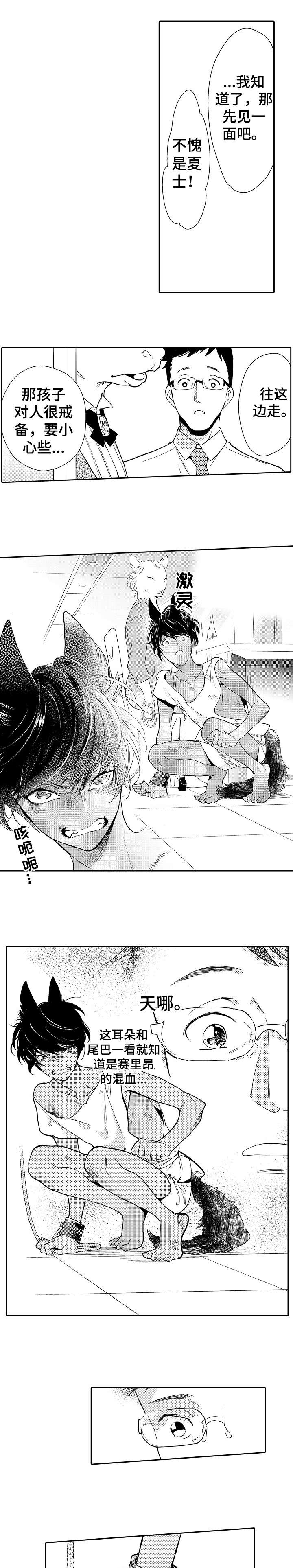迷途之中 小说漫画,第1章：孩子3图