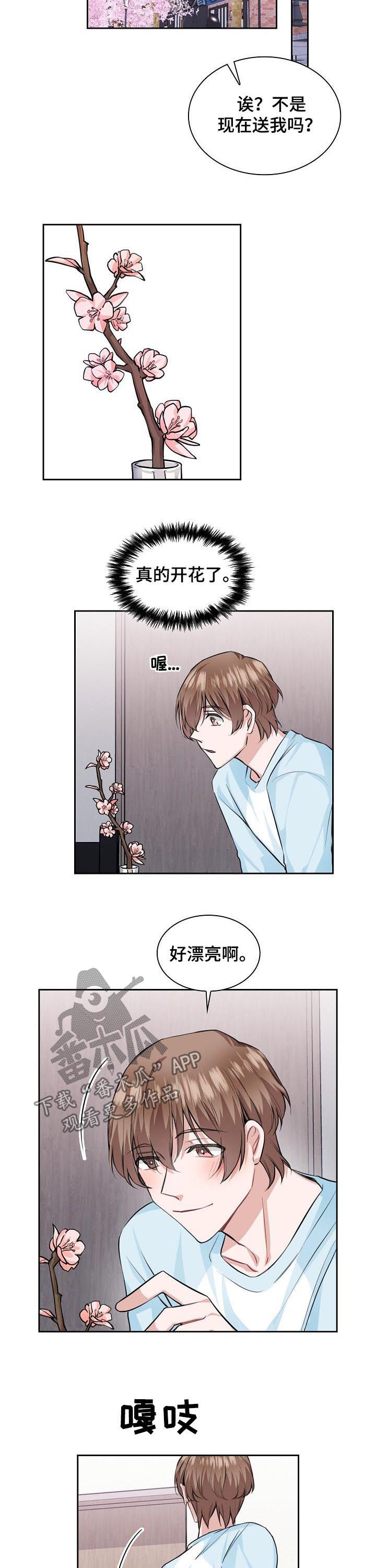 贝塔动画片漫画,第32章：你愿意继续吗3图