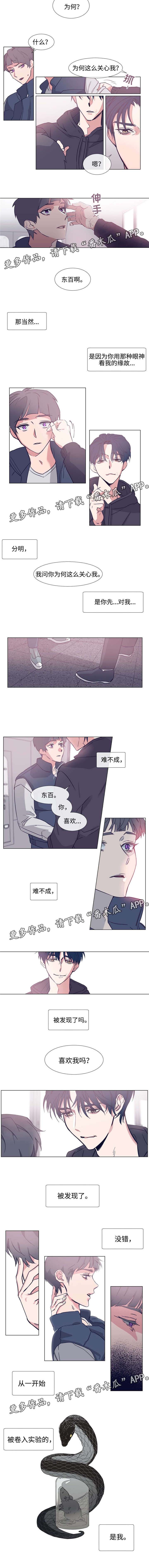 山鬼效灵漫画漫画,第3章：犯困1图