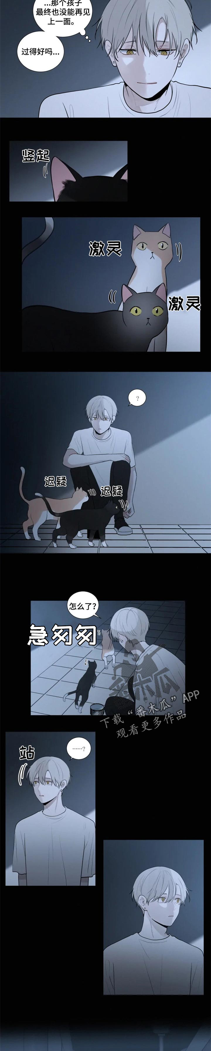 迷途之中 小说漫画,第1章：孩子4图