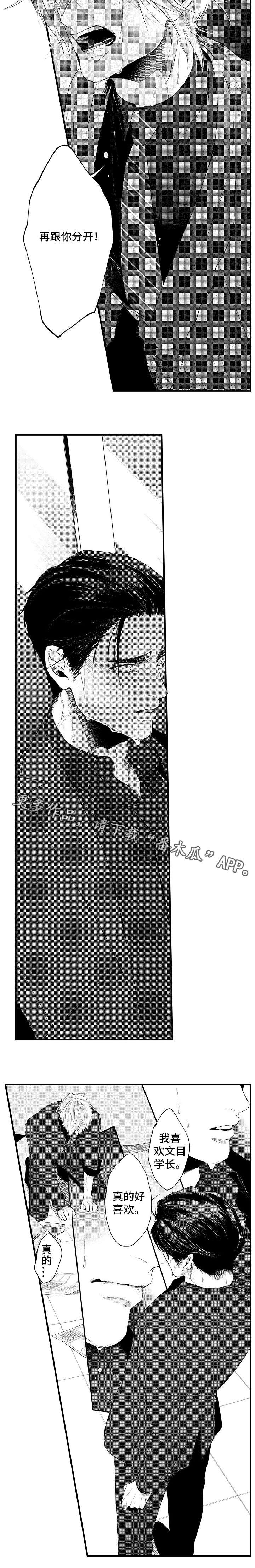青年将官糖心漫画漫画,第51章：赶紧许愿1图