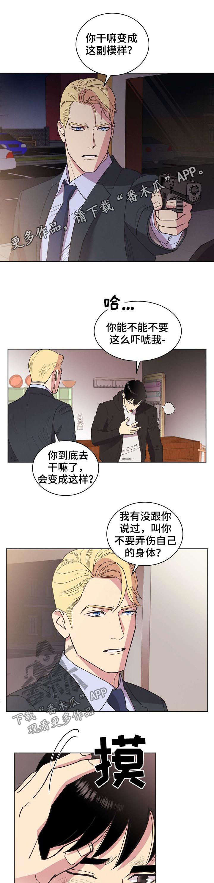 保护条约本杰明漫画漫画,第49章：【第二季】撞车1图