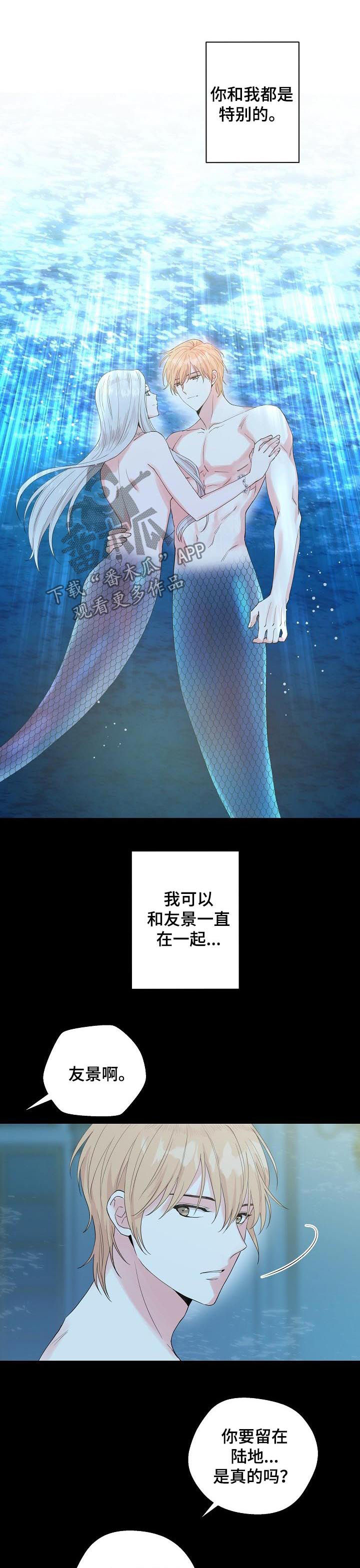 机器伴侣漫画漫画,第56章：【第二季】棒棒糖1图
