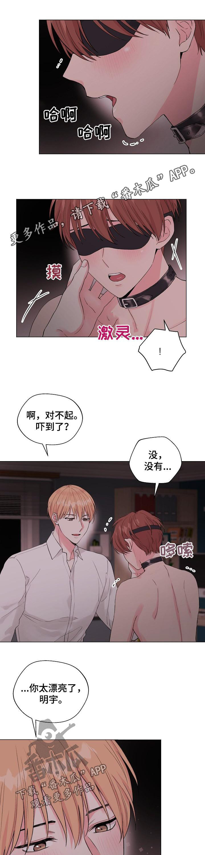 机器人恋爱漫画漫画,第64章：【第二季】喝酒1图