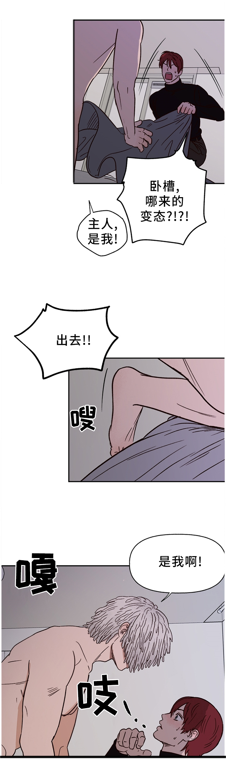 爱宠攻略小说漫画,第66章：【番外】报警1图