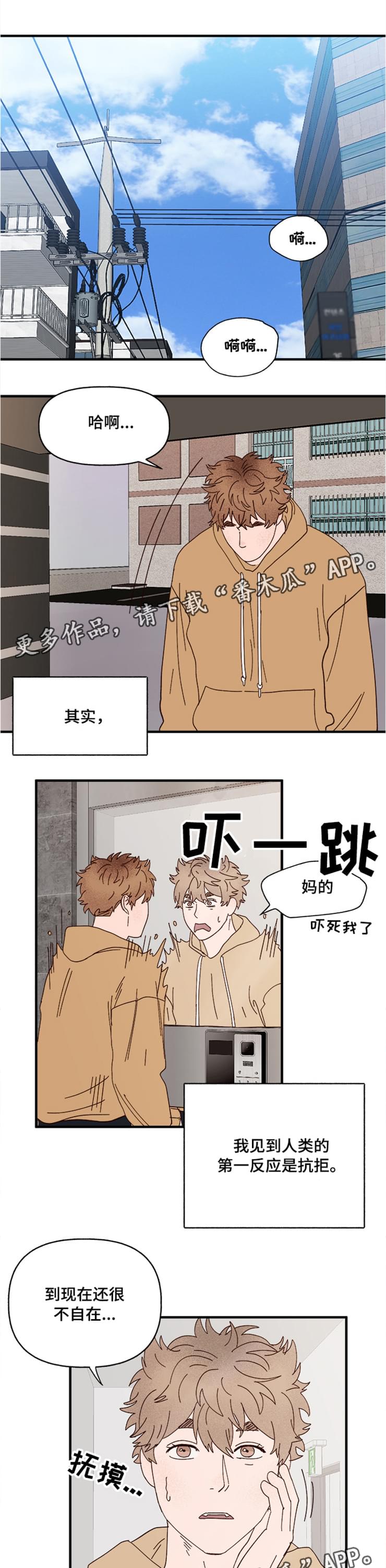 爱宠攻略解说动漫漫画,第18章：回忆1图