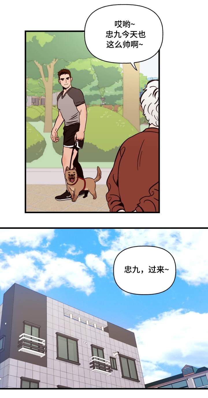 爱宠攻略漫画从哪看漫画,第1章：袭击2图