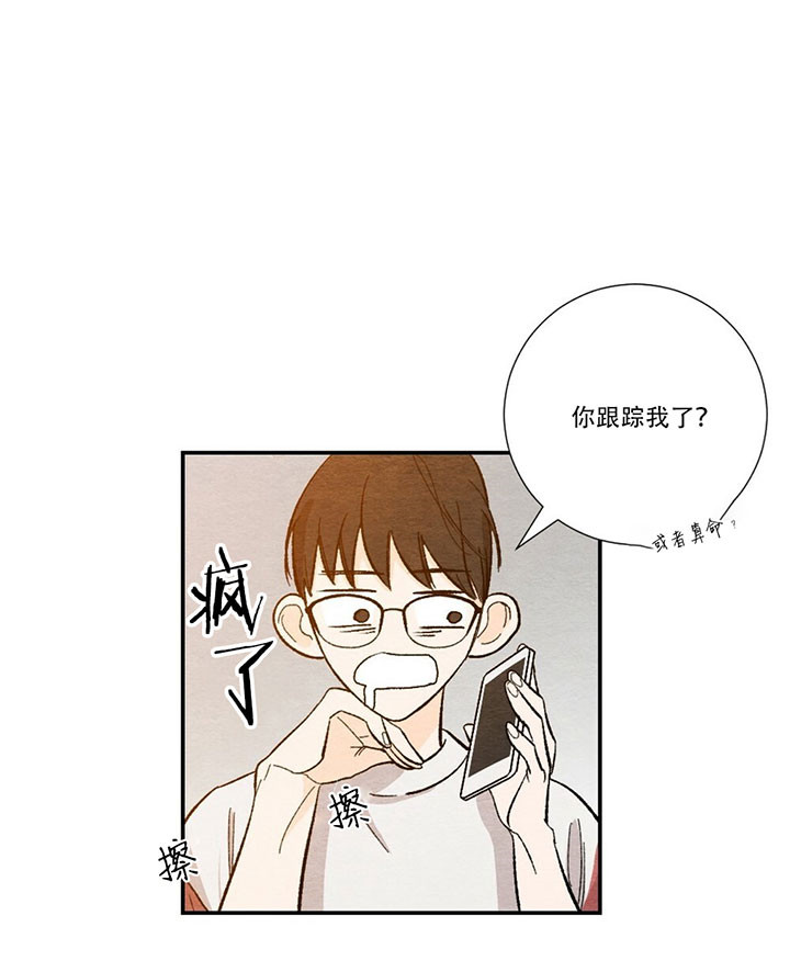 虚荣与谎言漫画漫画,第36话 36_老实的人5图