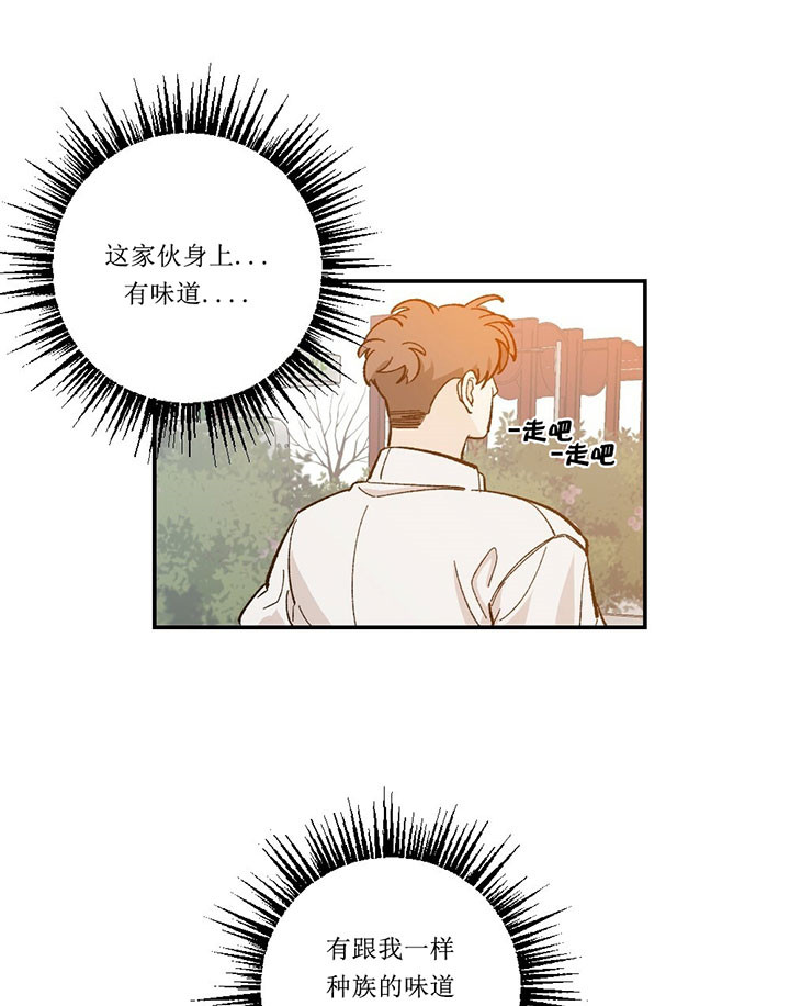 争宠精灵使漫画漫画,第63章：打什么鬼主意7图