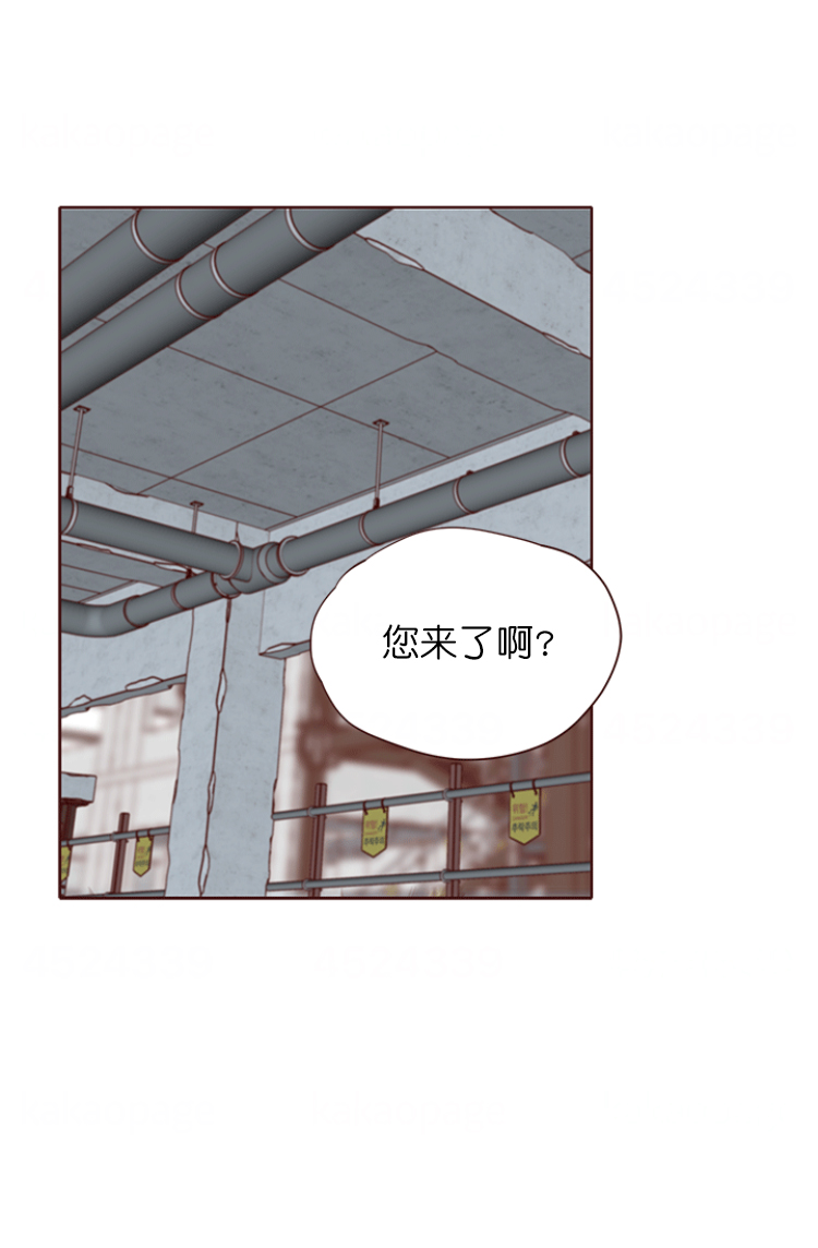 漫画女明星和影帝合约结婚漫画,第10章：表白5图