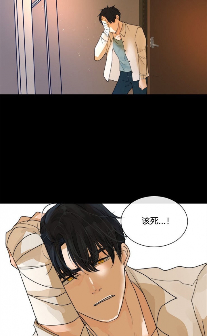 阴谋与争斗漫画漫画,第25章：打不过就叫人2图