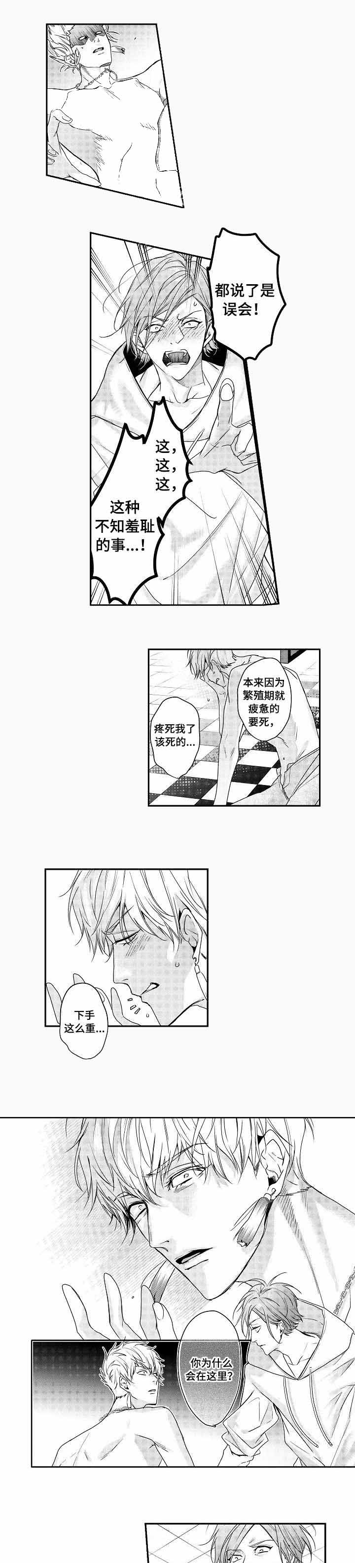 梅蒂配送员漫画图片漫画,第48话6图