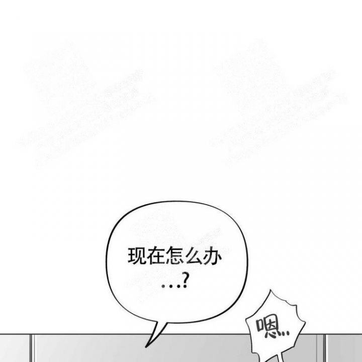 背叛的重量漫画漫画,第64章：真正的老板5图