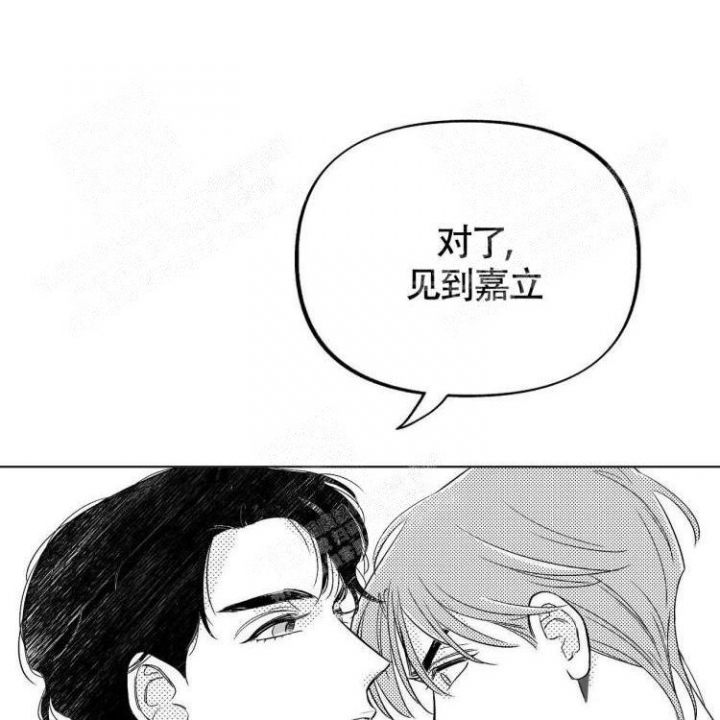 背叛的重量漫画漫画,第60章：当场抓获5图
