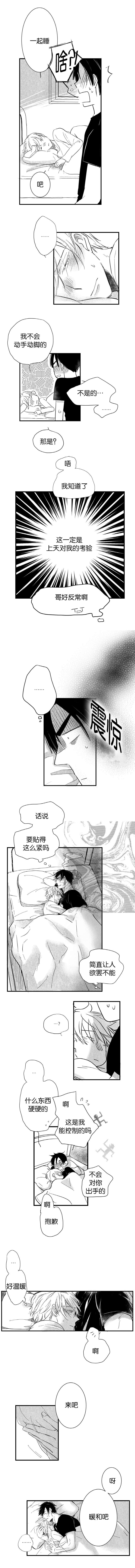 童话小兔子漫画,第45章：为你做的4图