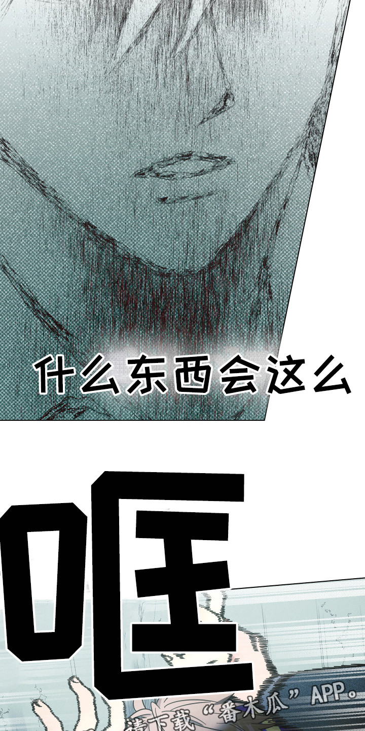 有关摄影的漫画漫画,第53章：奖励6图
