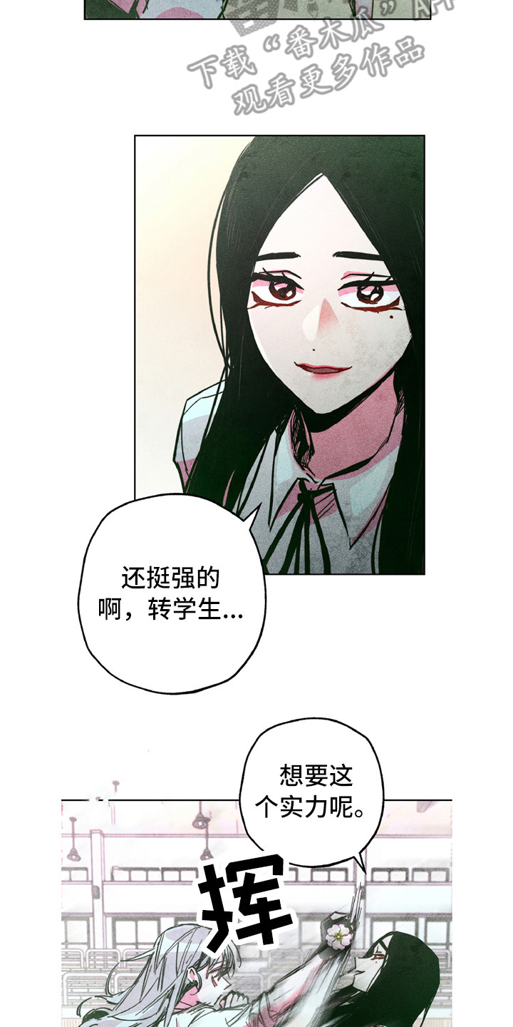 骑士礼漫画漫画,第33章：无法想象9图