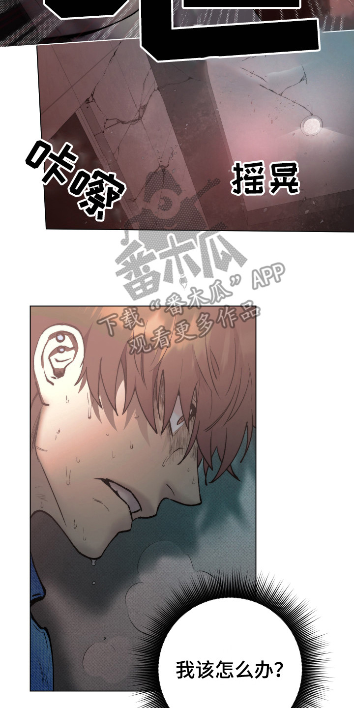 摄影漫画 真人漫画,第48章：下注6图