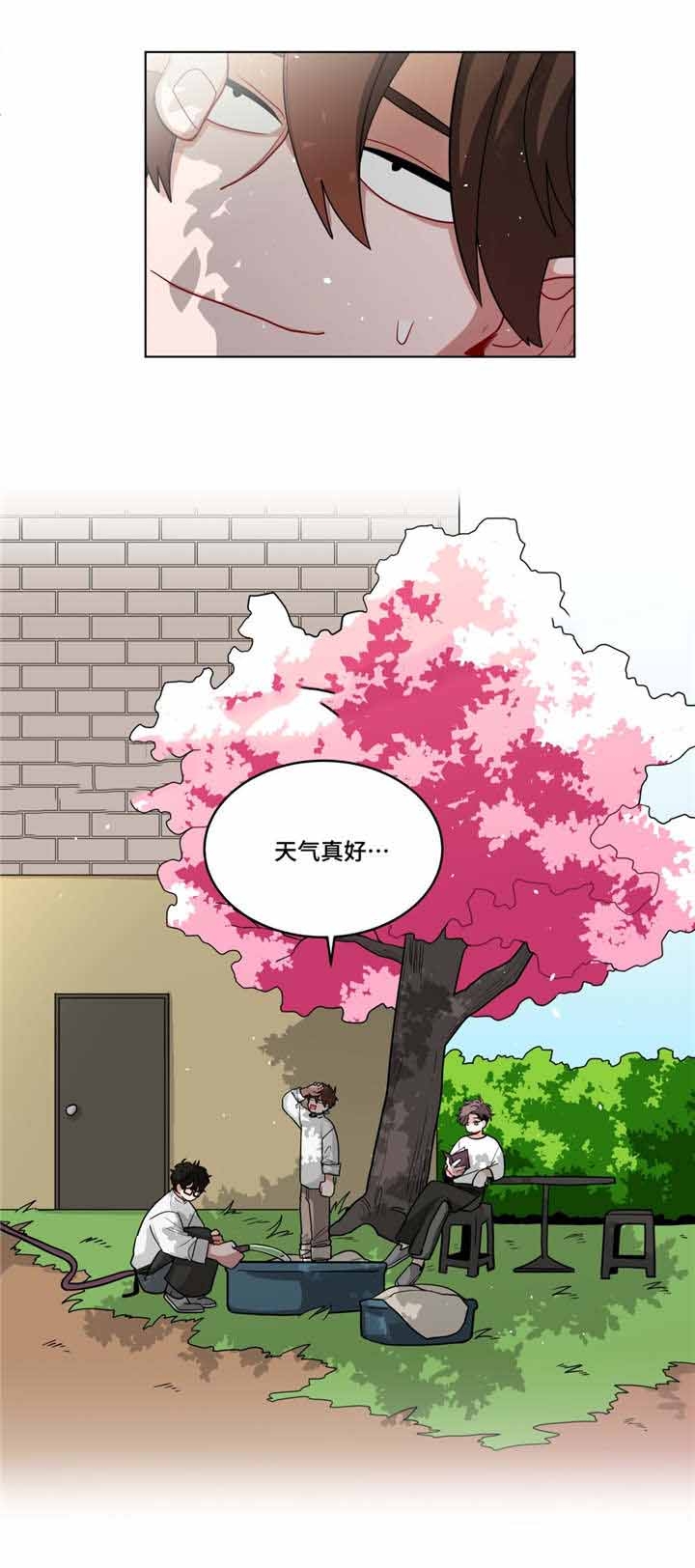 十年之约一共多少章漫画,第54话2图