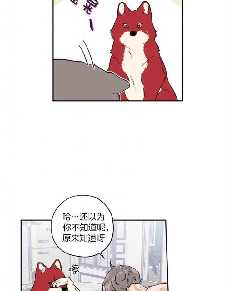 认真了解我漫画漫画,第22章：等会9图