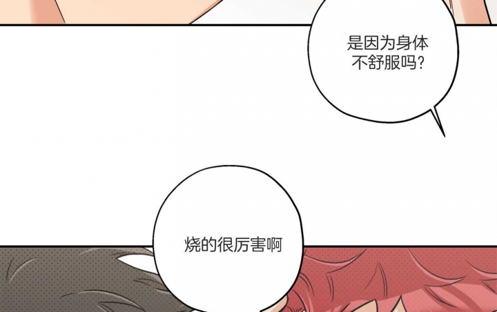 异种家庭漫画漫画,第41章：照亲不误3图