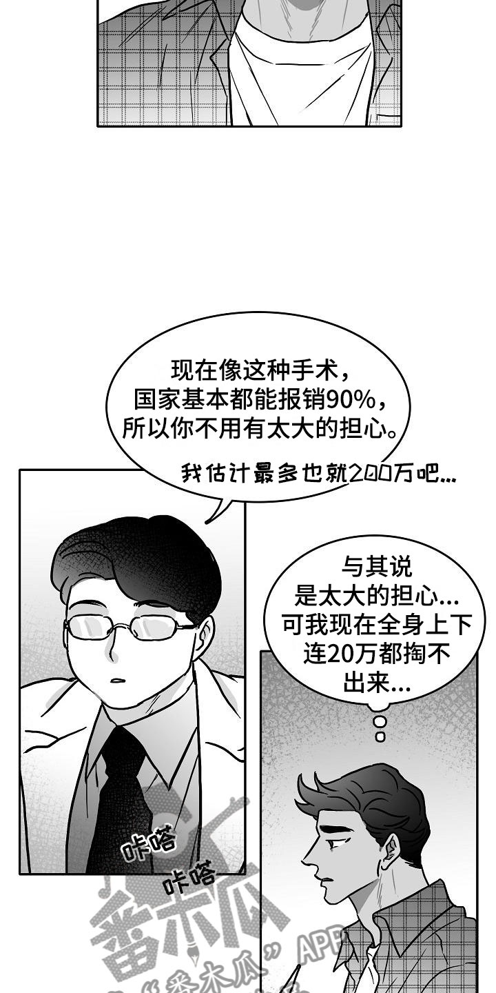 三花和老鼠漫画漫画,第27章：好好相处2图