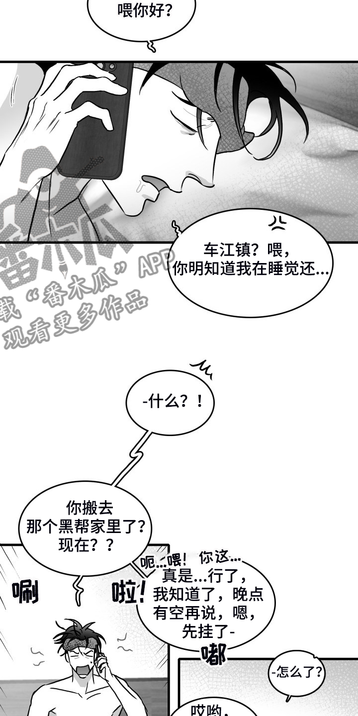 探寻三花岛漫画漫画,第52章：搬进他家2图
