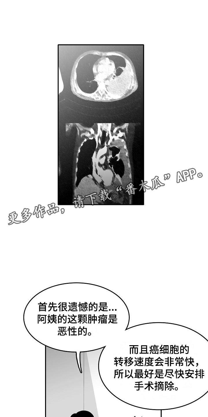 三花和老鼠漫画漫画,第27章：好好相处3图