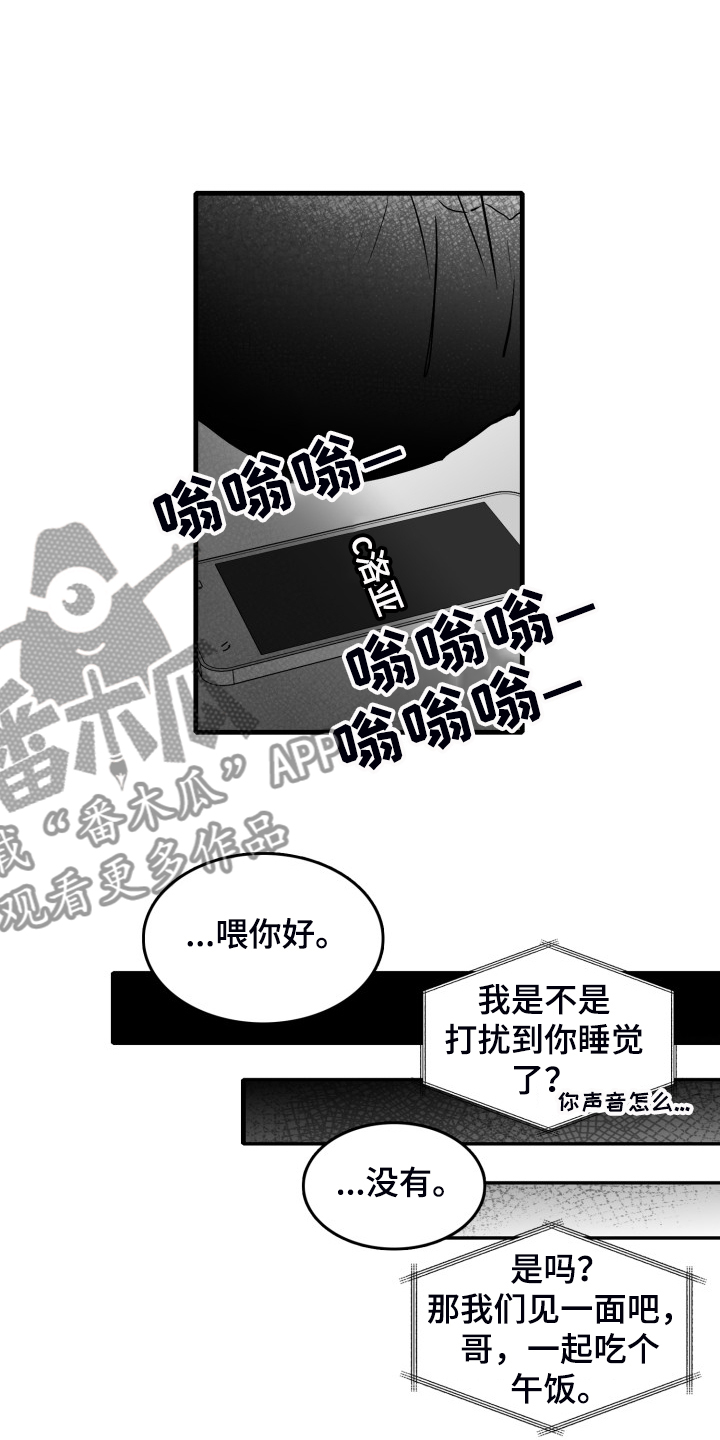 探寻三花岛漫画漫画,第59章：【第二季】一起同居吧3图