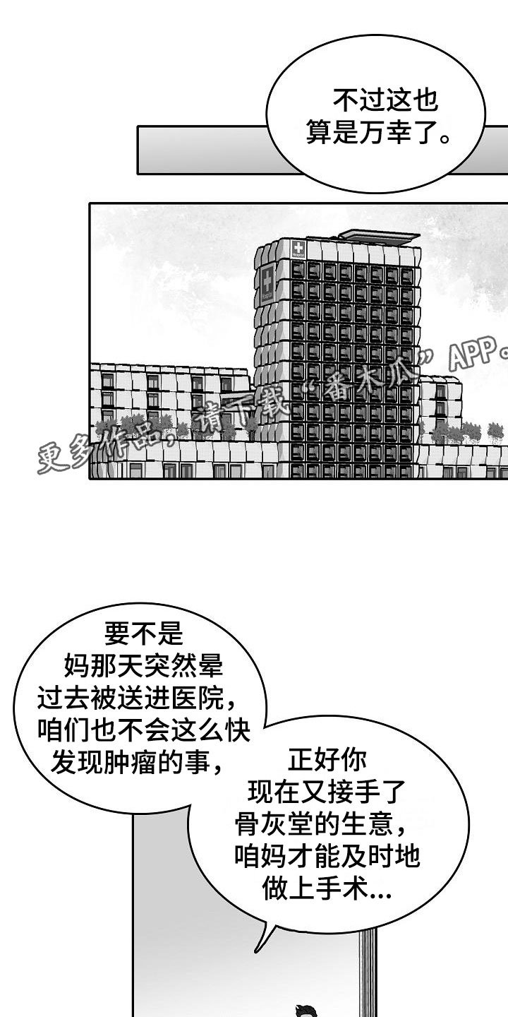 探寻三花岛漫画漫画,第28章：暗潮涌动3图