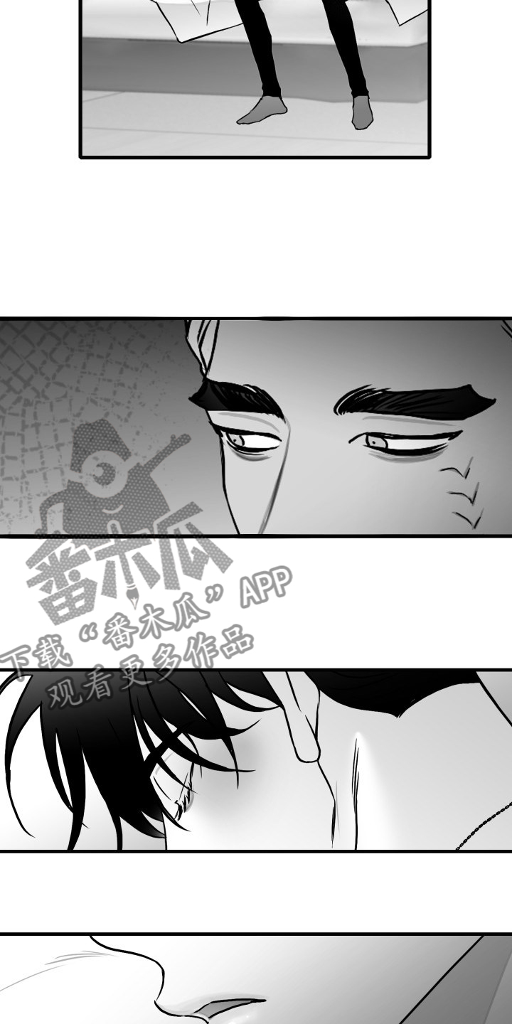 三花米诺漫画漫画,第94章：【第二季】在家等我3图