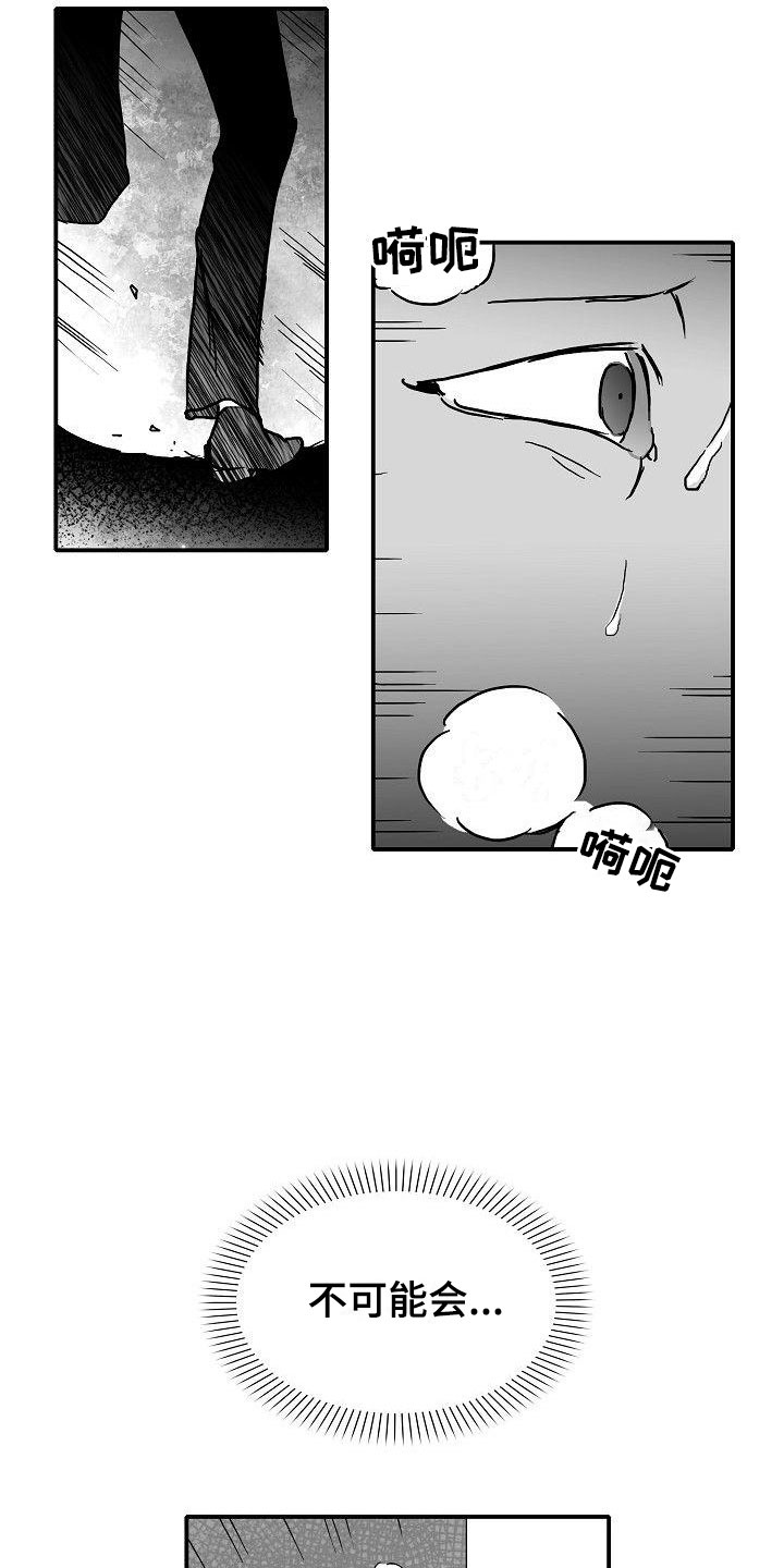 三花和老鼠漫画漫画,第16章：二次打击2图