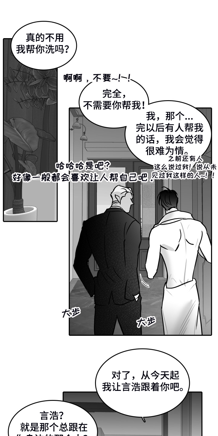 三花米诺漫画漫画,第57章：【第二季】早去早回1图