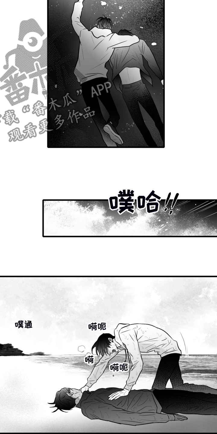 探寻三花岛漫画漫画,第73章：【第二季】不会再放手2图