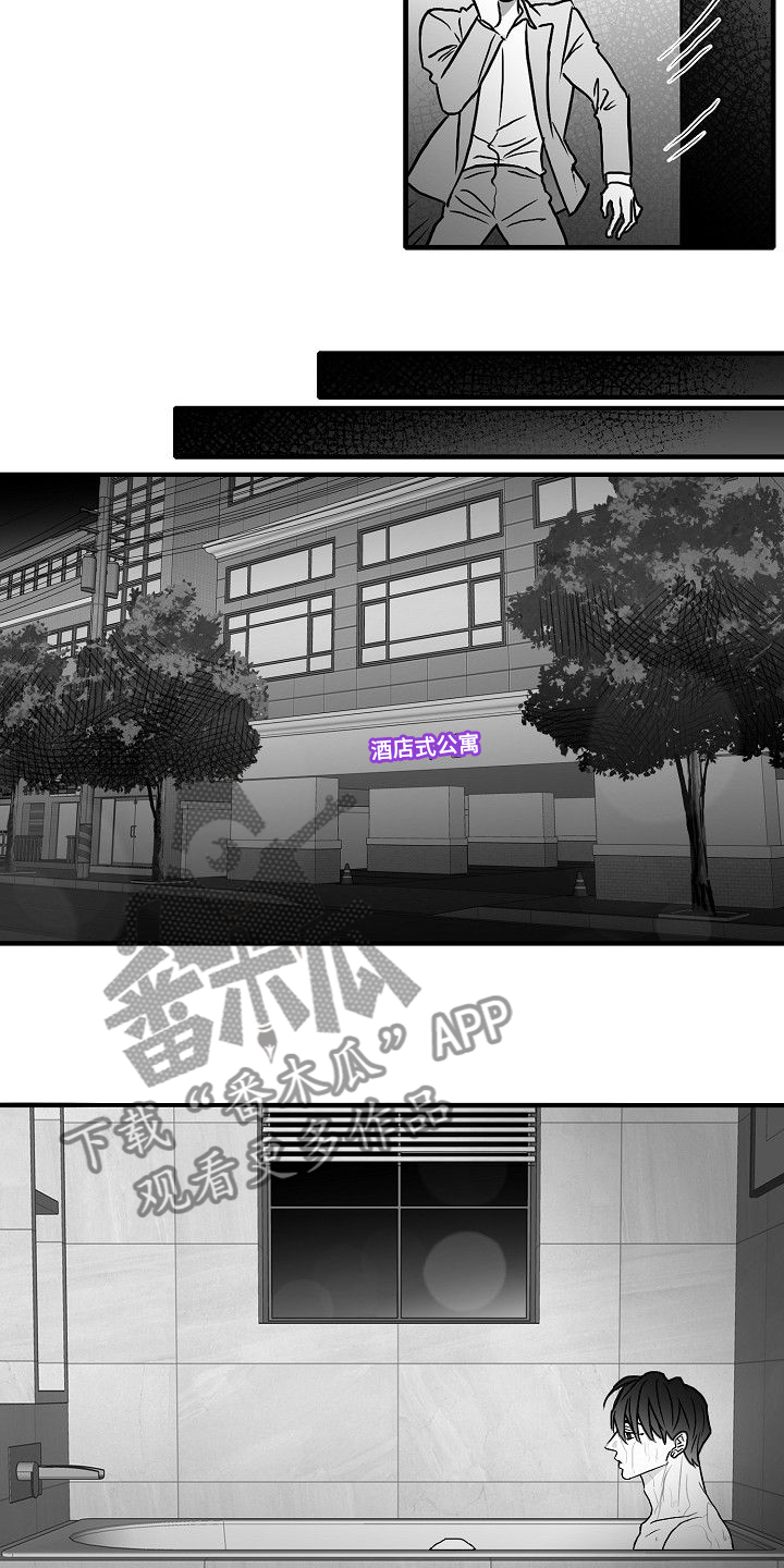 探寻三花岛漫画漫画,第45章：什么都不是3图