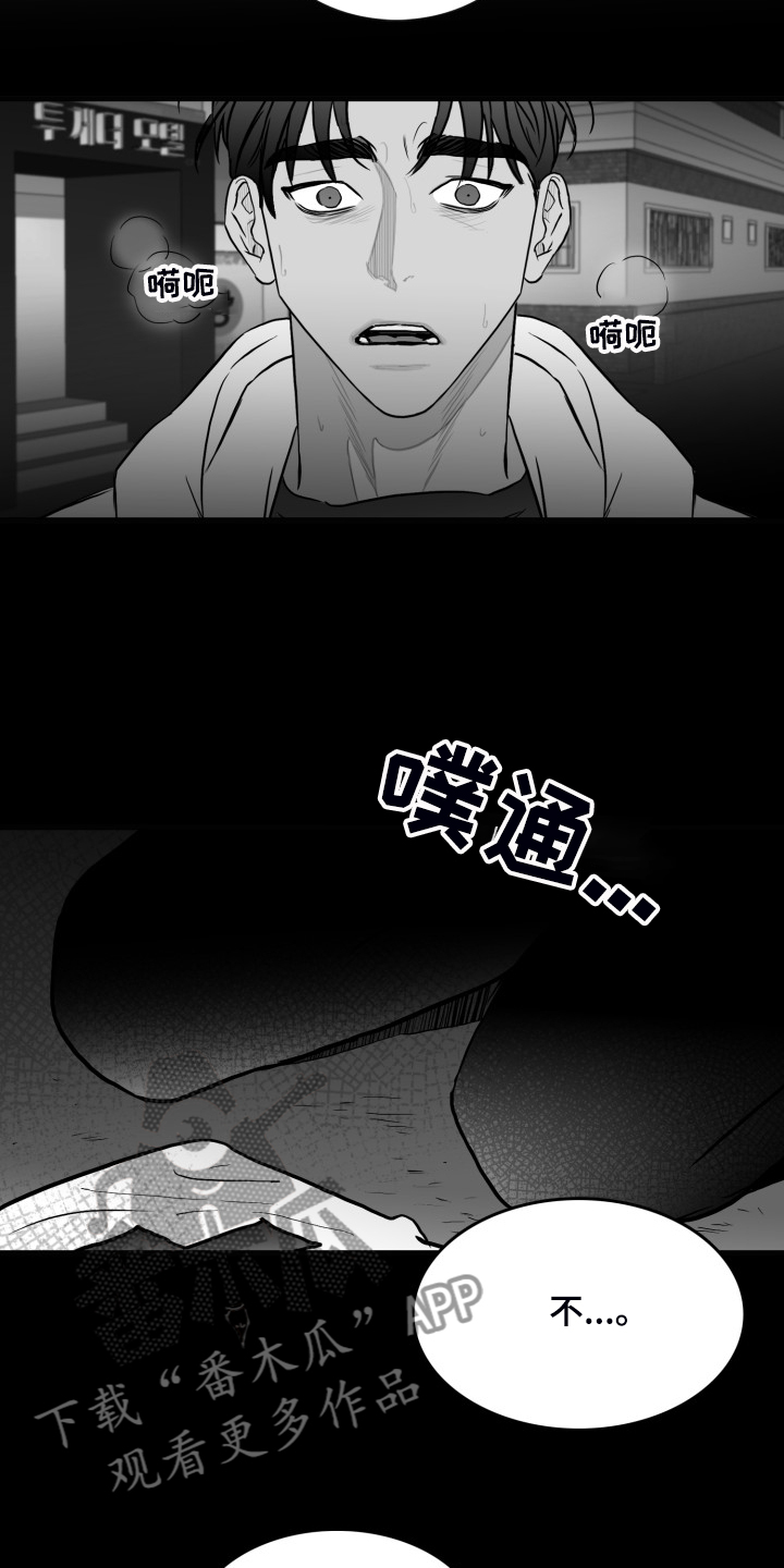 三花和老鼠漫画漫画,第81章：【第二季】啰嗦的老太太3图