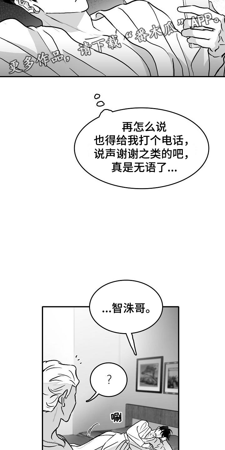 三花和老鼠漫画漫画,第30章：埋一个人2图