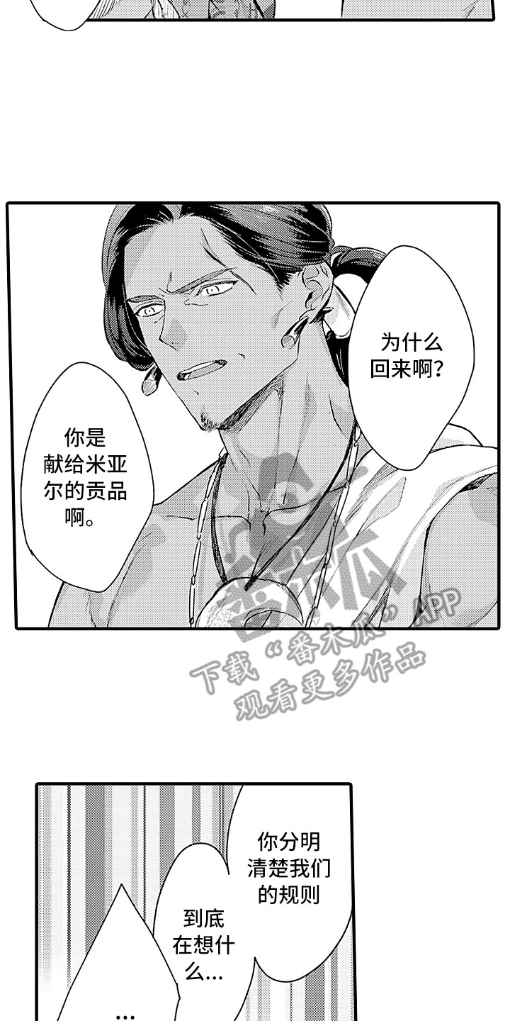 儿子是个钙漫画漫画,第13章：震撼2图