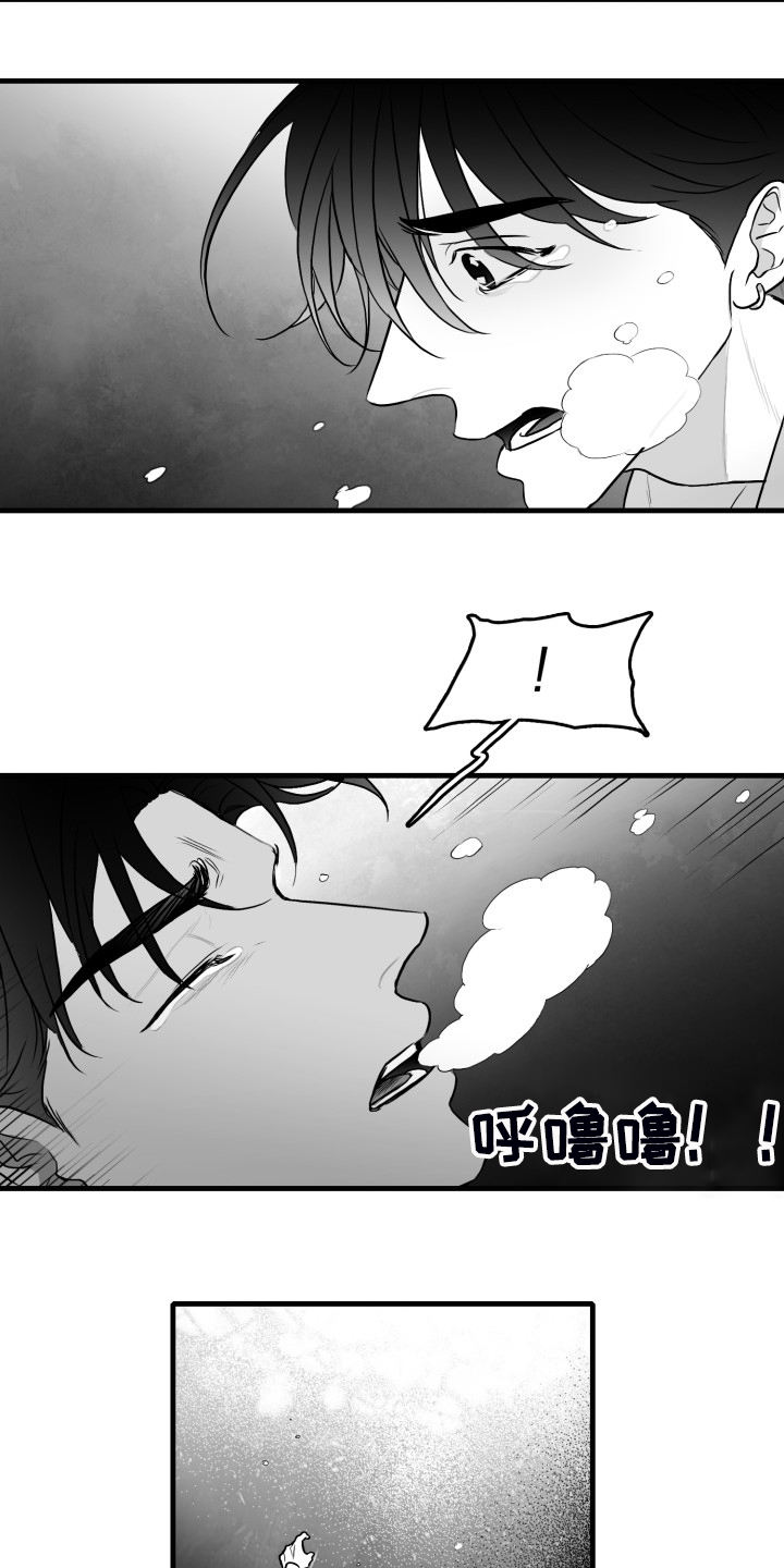 探寻三花岛漫画漫画,第73章：【第二季】不会再放手1图