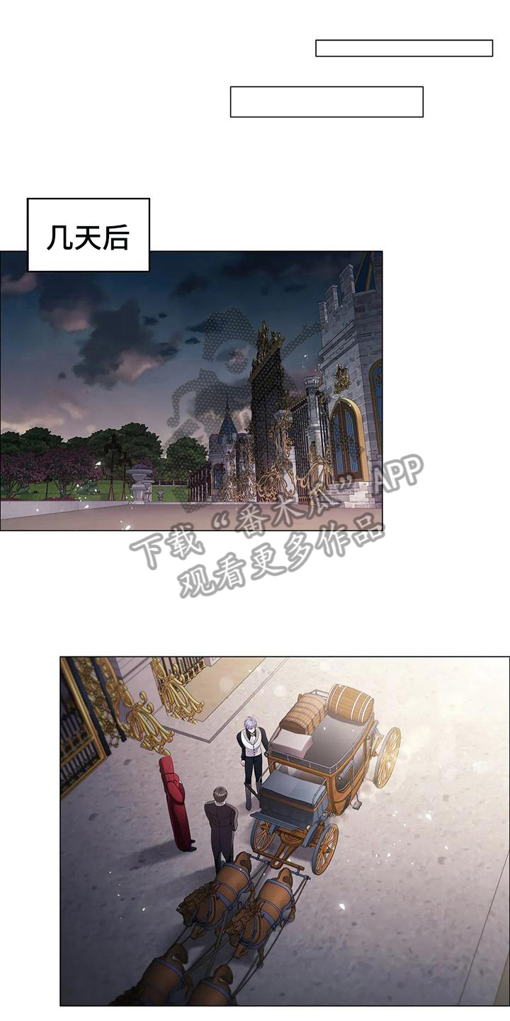 职业球员漫画漫画,第29章：合作1图