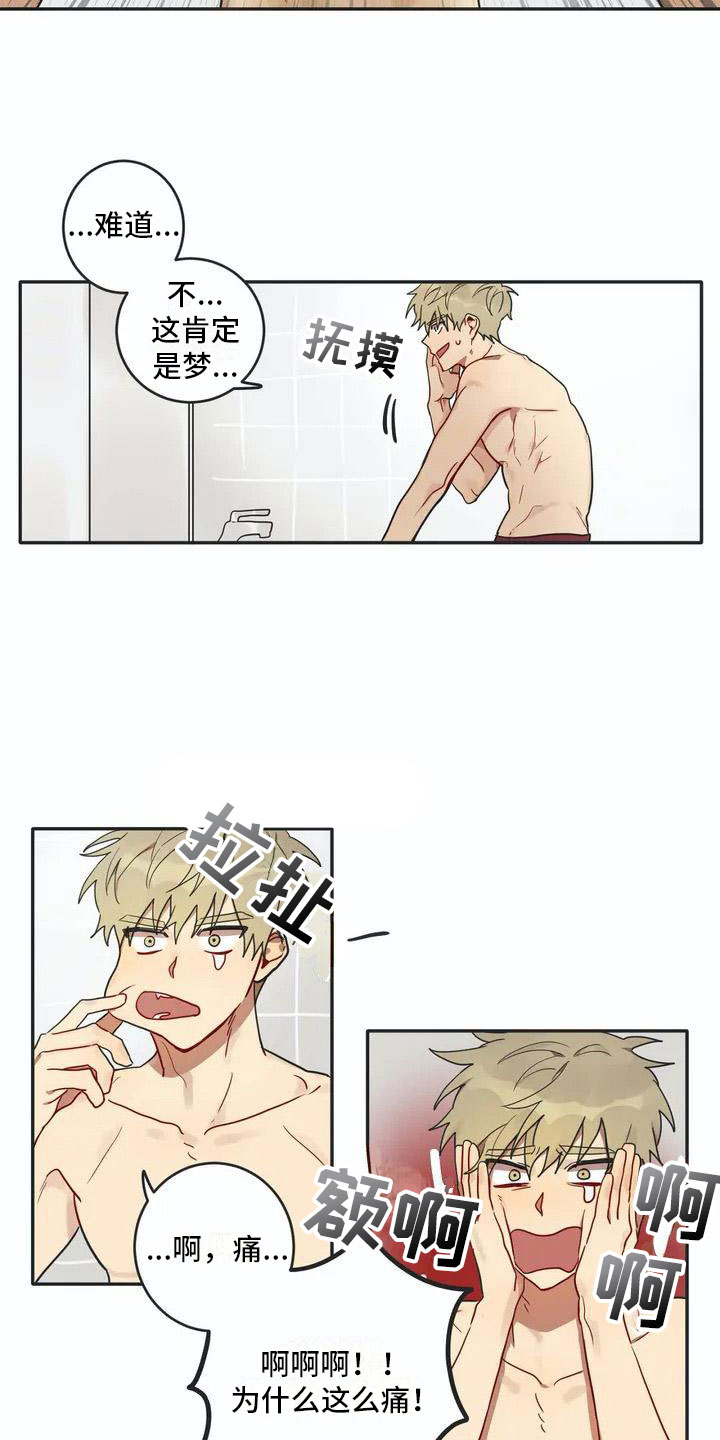 反差感漫画漫画,第3章：回归2图
