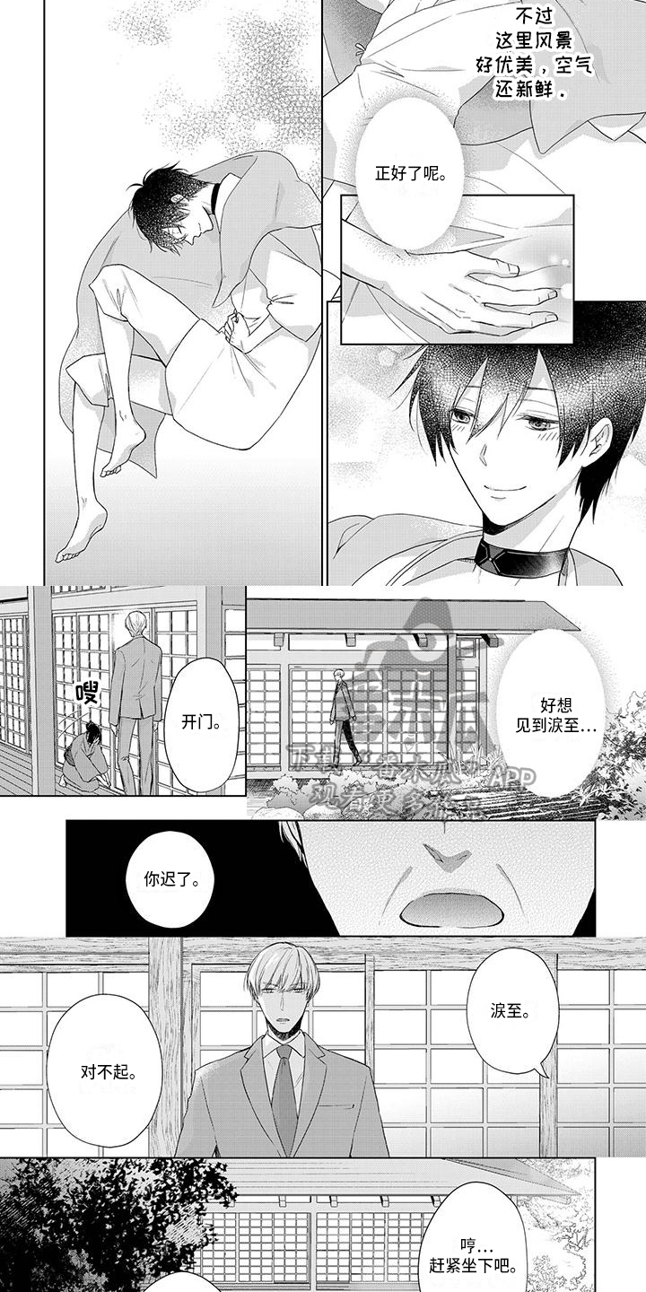 一夜失忆漫画漫画,第60章：假药10图