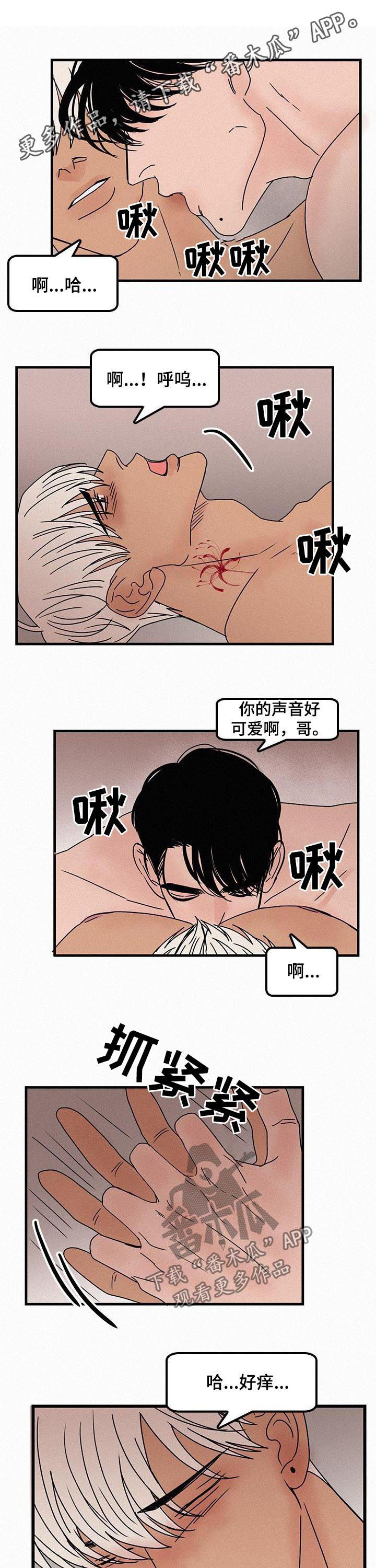 同斗漫画漫画,第57章爱情是什么1图